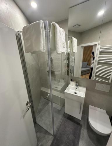 a bathroom with a shower and a toilet and a sink at Apartma Tisa Bohinj-no outside windows in Bohinj