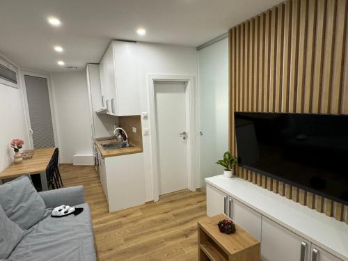 a living room with a couch and a kitchen at Apartma Tisa Bohinj-no outside windows in Bohinj