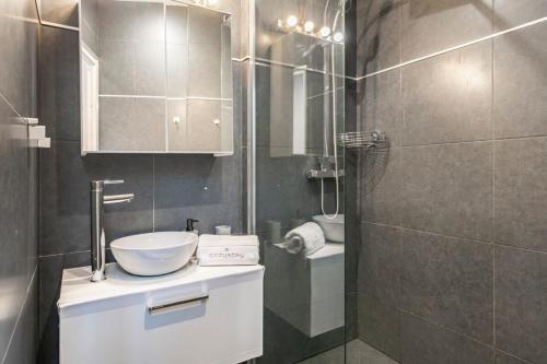 une salle de bain avec un lavabo et une douche dans l'établissement Nice studio in the heart of Cannes, à Cannes