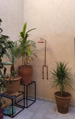 Gambar di galeri bagi Villa AROMI di El Karia