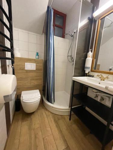 e bagno con servizi igienici, doccia e lavandino. di Apple Economy Hotel a Kaunas