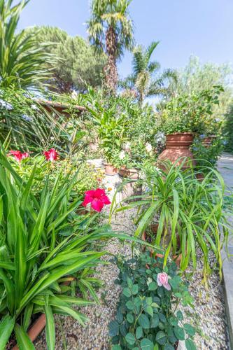 Gallery image of ***Villa Prestige**** in Capoliveri