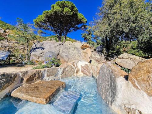 a swimming pool with a bench and some rocks at Casa nel Bosco, un oasi di pace in Seccheto