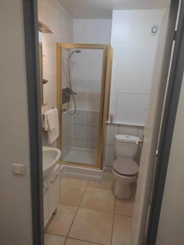 ein Bad mit einer Dusche, einem WC und einem Waschbecken in der Unterkunft gite st nicolas in Freyming