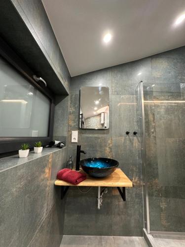 a bathroom with a sink and a shower at Relaxen im Weindorf Mayschoß Fewo 3 in Mayschoß