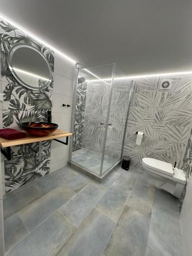 マイショスにあるRelaxen im Weindorf Mayschoß Fewo 1のバスルーム(シャワー、トイレ、鏡付)