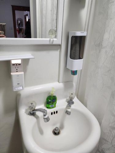 een wastafel in de badkamer met een zeepdispenser en een spiegel bij The Landerholm Bed and Breakfast in Wisconsin Rapids