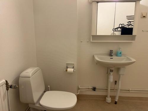 a bathroom with a toilet and a sink and a mirror at LHM in Borås