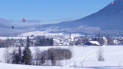 two hot air balloons flying over a snow covered village at Wellnessoase mit Sauna und Whirlpool in Inzell