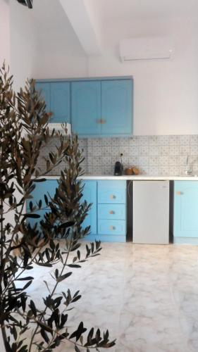 Küche/Küchenzeile in der Unterkunft Papafotis Apartments & Suites