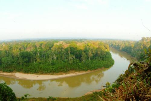 an aerial view of a river with trees at Casa Amazonas in Puerto Maldonado