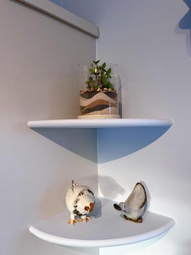 a shelf with two birds and a plant on it at Capledrae Farmstay Shepherds Huts in Cardenden