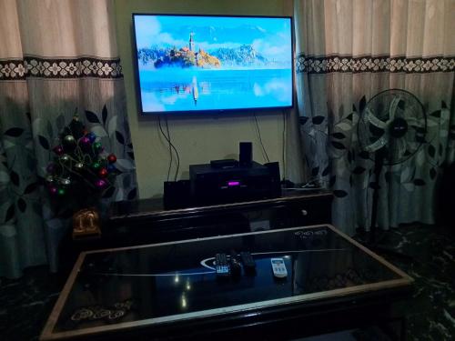 uma sala de estar com televisão e uma árvore de Natal em Treasure Apartment em Lagos