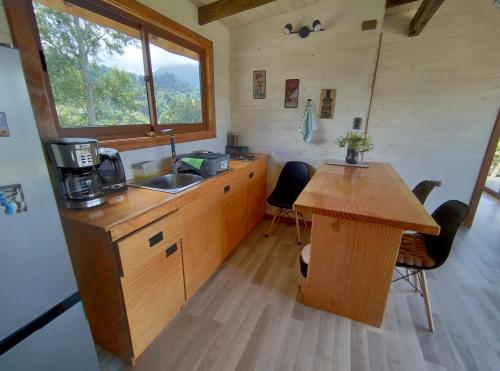 uma cozinha com um lavatório e uma mesa num quarto em tiny house comuy em Ranco