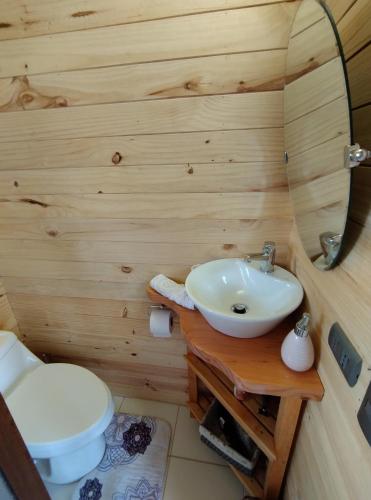 uma casa de banho com um lavatório e um WC em tiny house comuy em Ranco