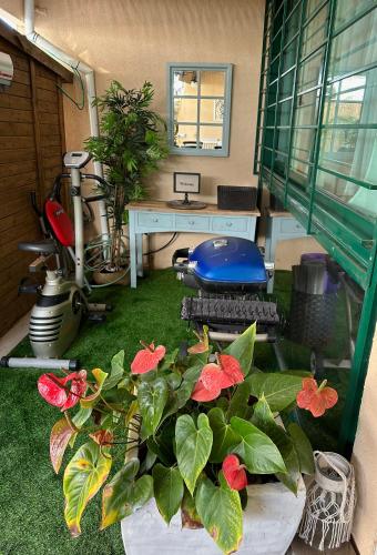 a room with a desk and some plants in the grass at Habostan ceasarea, הבוסתן בקיסריה in Caesarea