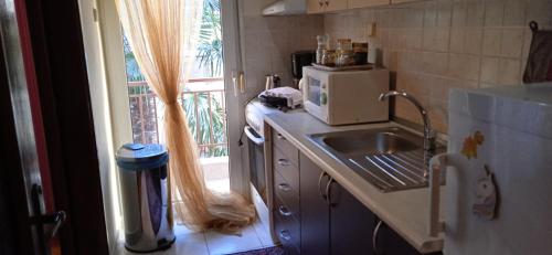 eine Küche mit einer Spüle, einer Mikrowelle und einem Fenster in der Unterkunft STEVE'S HOUSE & ELDI in Edessa