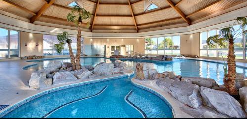 a swimming pool in a resort with palm trees at Chalet M6, The Warren, Abersoch in Abersoch