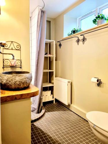 a bathroom with a sink and a toilet at Guesthouse 'Blue House' in vintage villa&garden in Copenhagen