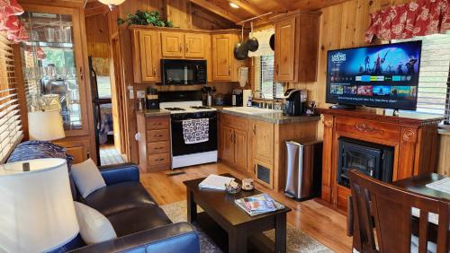 a living room with a kitchen with a tv and a couch at The Couple's Cabin in Wynola in Julian