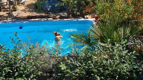 um cão numa piscina num jardim em Pension mit Moselblick em Klotten
