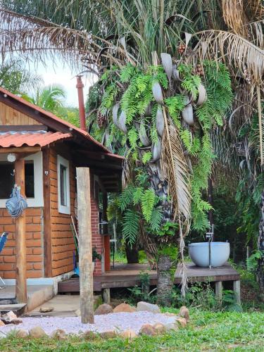 a house with a palm tree in front of it at Refúgio Tao Cerrado Chalé Pé de Serra in Alto Paraíso de Goiás