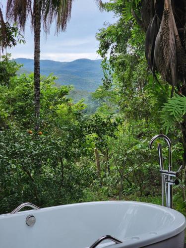 a bath tub with a view of a forest at Refúgio Tao Cerrado Chalé Pé de Serra in Alto Paraíso de Goiás