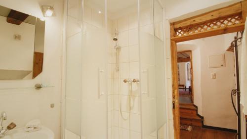 La salle de bains est pourvue d'une douche et d'un lavabo. dans l'établissement Ferienwohnung Arbesgassl, à Hall en Tirol