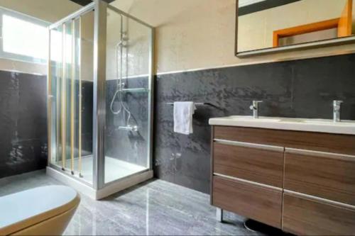 a bathroom with a shower and a toilet and a sink at Urban Park House in Fajã de Baixo