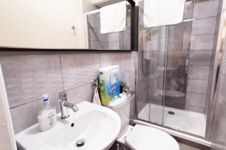 La salle de bains est pourvue d'un lavabo, de toilettes et d'une douche. dans l'établissement Great Central Location 1BED APT Off OConnell ST, à Dublin