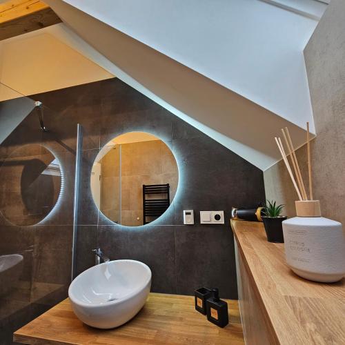 a bathroom with a sink and a mirror at Pod vinohradem - apartmány & vinné sklepy in Mutěnice