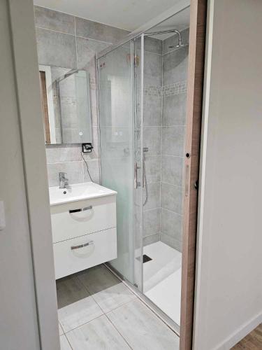 une salle de bain avec une douche, un lavabo et des toilettes dans l'établissement un petit studio moderne et conviviale, à Banville