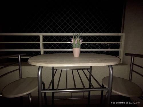 a table with a potted plant on top of it at Apartamento La Florida Mirador in Santiago