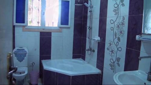 ein Bad mit einem Waschbecken, einem WC und einem Fenster in der Unterkunft Loulouat Al Reef in Kafr ʼakīm