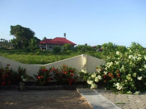 a garden with flowers in front of a house at Villa Nickerie/ Suriname in Nieuw Nickerie