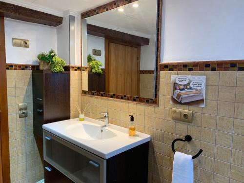 La salle de bains est pourvue d'un lavabo et d'un miroir. dans l'établissement Casa Enric 2, à Deltebre