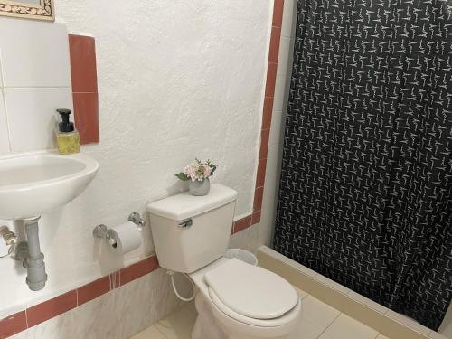 a bathroom with a toilet and a sink at Hostal greenlandomesa in Piedecuesta