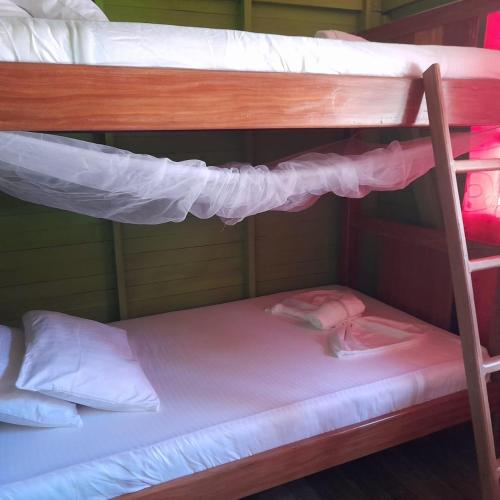 - deux lits superposés dans une chambre dans l'établissement Posada jurubira, à Juruvidá