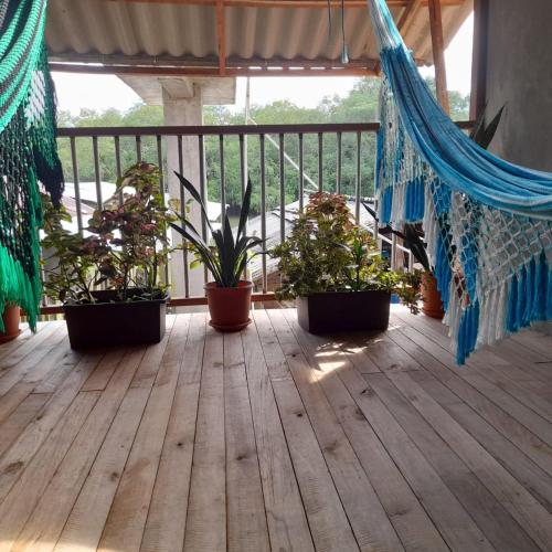 une terrasse couverte avec des plantes en pot sur une terrasse en bois dans l'établissement Posada jurubira, à Juruvidá