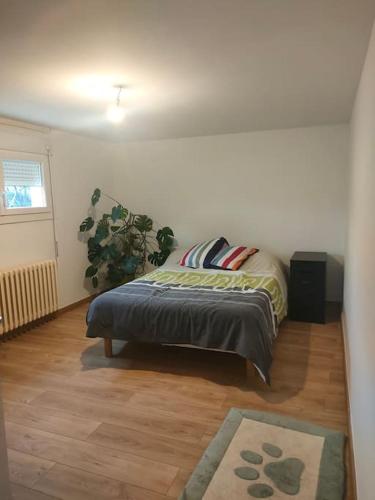 een slaapkamer met een bed en een potplant bij Casa Tranquila Cerca el Estuario in Pauillac