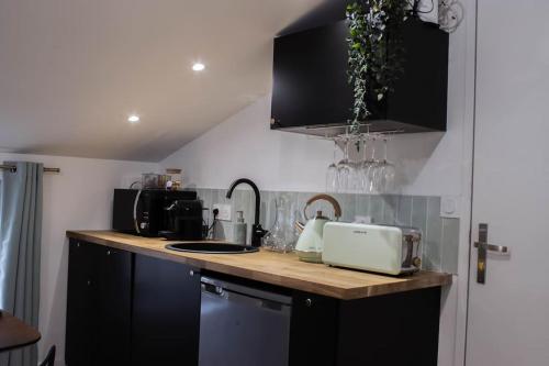 - une cuisine avec un comptoir et un évier dans l'établissement Suite Émeraude - Jacuzzi, à Saint-Étienne