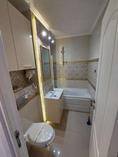 a bathroom with a toilet and a sink and a tub at Laurentiu Apartments in Braşov