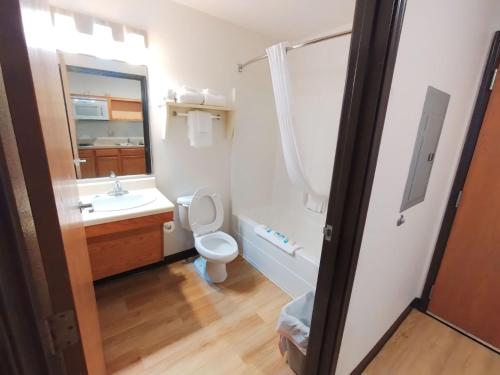 a bathroom with a toilet and a sink and a mirror at WoodSpring Suites Asheville in Asheville
