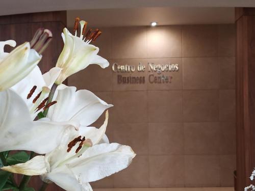 a group of white flowers in front of a sign at Hotel Palacio Azteca Tijuana, Trademark by Wyndham in Tijuana