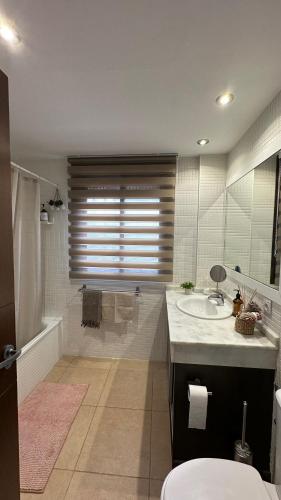 a bathroom with a sink and a toilet and a shower at Cómodo apartamento en El Palm mar in Palm-Mar
