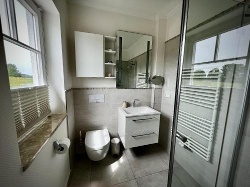 une salle de bain avec toilettes, lavabo et miroir dans l'établissement Ferienhaus-Sliminde-by-Seeblick-Ferien-direkte-Wasserlage-E-Ladesaeule-Sauna, à Olpenitz
