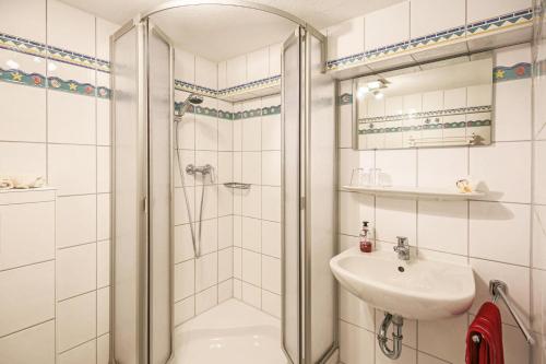 La salle de bains est pourvue d'une douche et d'un lavabo. dans l'établissement Ferienwohnung Schwalbennest, à Emmelsbüll-Horsbüll