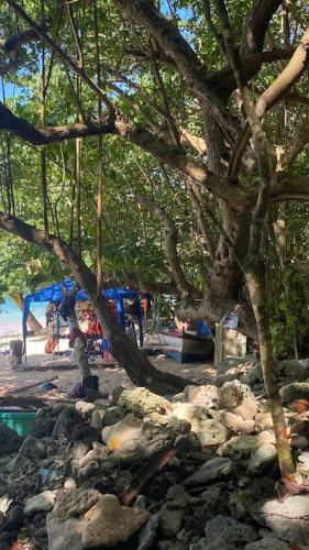 a group of people on a beach under a tree at yoshen Villa in Unawatuna
