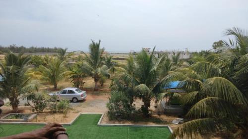 a view of a yard with palm trees and a car at Coastal Heaven Koovathur in Kūvattūr