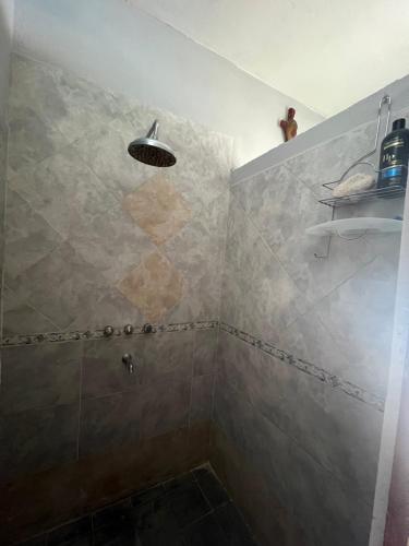 ジェルバ・ブエナにあるChalet en YBのバスルーム(シャワー、シャワーヘッド付)